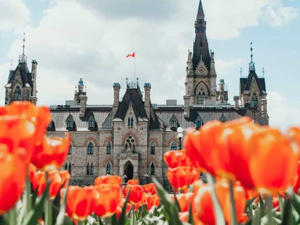 2-de-cu-tinh-bang-canada