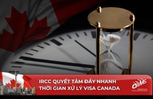 Với những cải tiến tích cực từ Sở Di trú Canada, thời gian xử lý Visa Canada đang ngày càng được rút ngắn, giấc mơ định cư Canada trở nên khả thi hơn bao giờ hết.