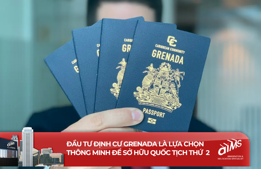 Với chương trình đầu tư định cư Grenada, nhà đầu tư được hưởng những chính sách hỗ trợ tối ưu cho việc kinh doanh, thuế và ưu đã về di trú.