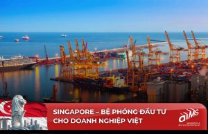Đất nước Singapore là môi trường bền vững để xây dựng thương hiệu, hệ thống tài chính vững mạnh và chạm đến định cư quốc tế.