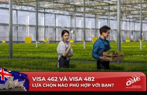 Visa Úc 462 và Visa Úc 482 đều mở ra những cơ hội việc làm tại Úc, nhưng phục vụ cho những mục tiêu và đối tượng khác nhau.