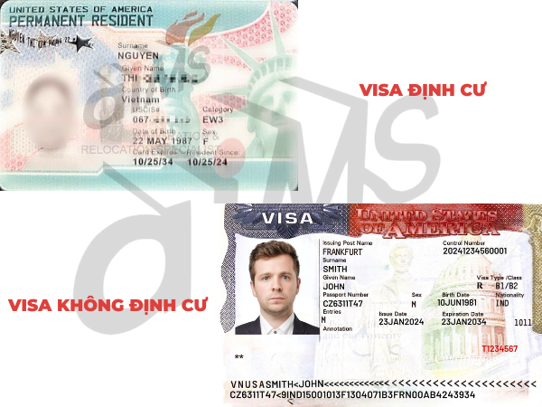 cac-dien-dinh-cu-my-pho-bien-2026-aims-viet-nam-7