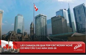 Tham khảo báo cáo mới nhất của Cục Thống kê để lên chiến lược triển khai hồ sơ xin Canada PR.