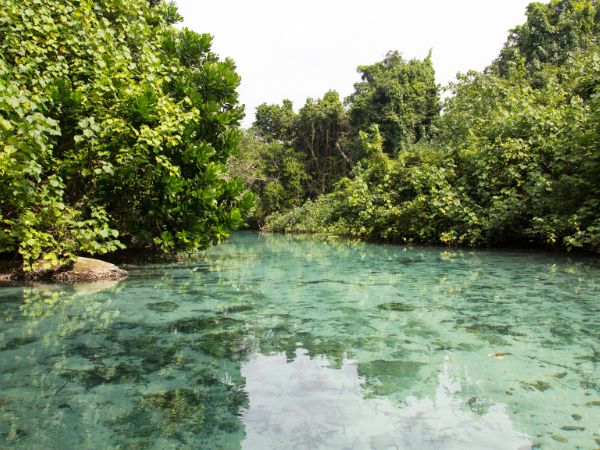 dau-tu-dinh-cu-vanuatu-3