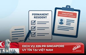 AIMS Việt Nam có trụ sở chính tại Singapore, được đánh giá là một trong những đơn vị cung cấp dịch vụ xin PR Singapore uy tín tại Việt Nam và khu vực hiện nay.