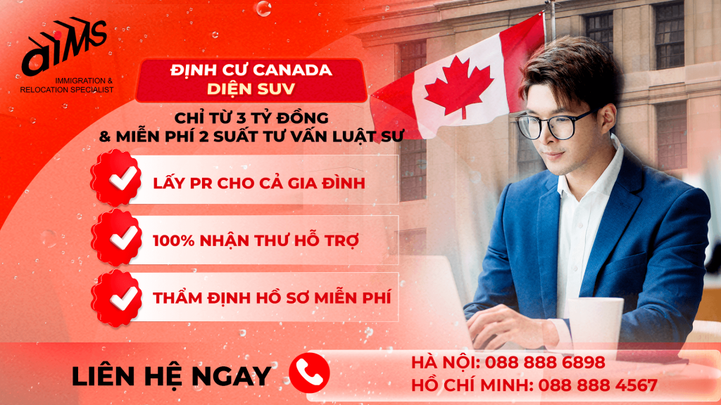 dinh-cu-canada-dien-startup-aims-viet-nam-5