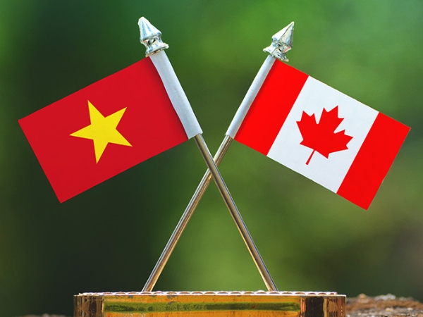 gia-nha-o-ontario-canada-aims-viet-nam-2