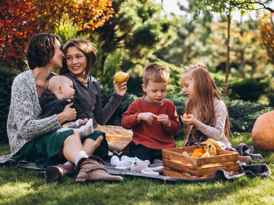 mother with four kids having picnic back yard