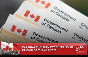 Bản cập nhật giúp ứng viên và chuyên gia di trú nắm rõ tình hình hiện tại về thời gian xử lý hồ sơ PR Canada của IRCC.