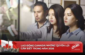 Người lao động Canada cần hiểu rõ quyền của mình là yếu tố then chốt để đảm bảo an sinh cho bản thân khi mới đến hoặc đang làm việc để định cư.