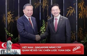 Việt Nam - Singapore nâng cấp quan hệ đối tác chiến lược toàn diện. | Nguồn: sưu tầm