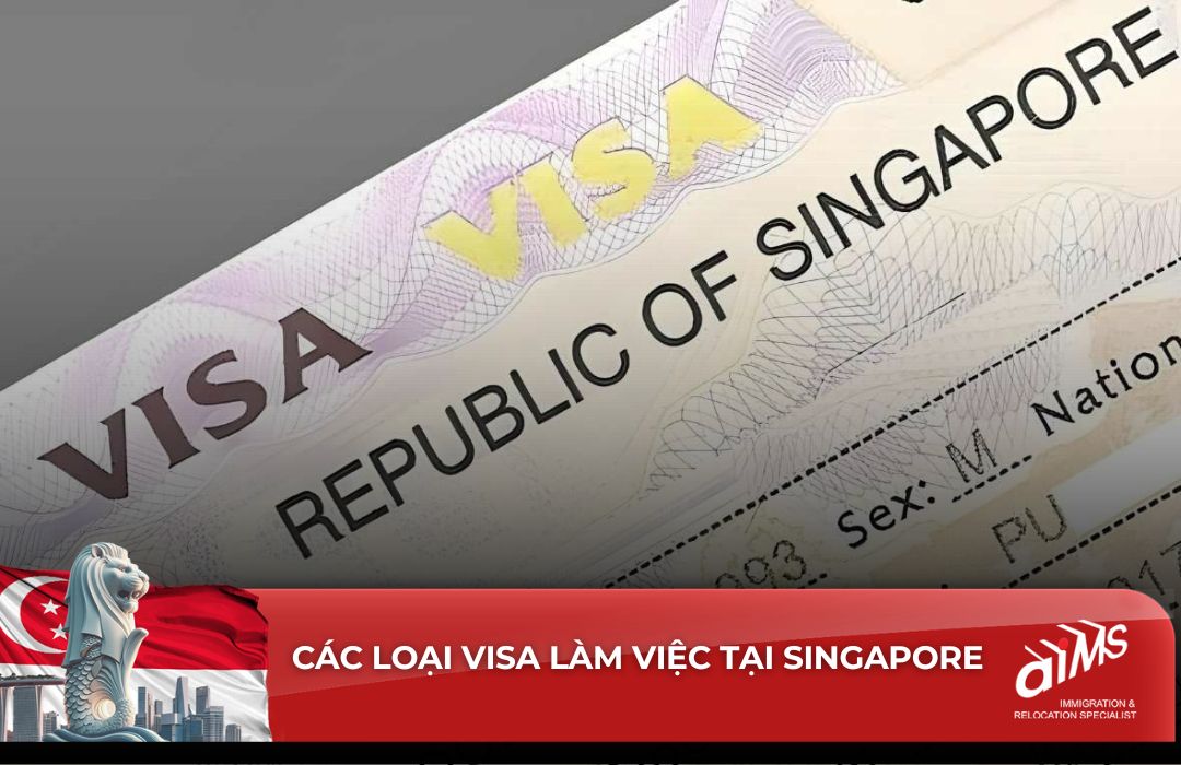 Hệ thống Visa Singapore được thiết kế linh hoạt, phù hợp với đa dạng người lao động Singapore từ chuyên gia cao cấp đến thợ kỹ thuật. 