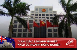 Công ty Hoang Long CMS và SONA JSC bị loại khỏi danh sách các doanh nghiệp được tham gia Chương trình xuất khẩu lao động Úc ngành nông nghiệp.